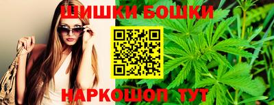 крисы Донской